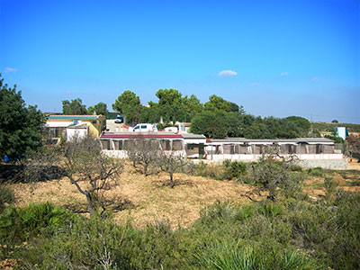 Centro Canino Parras